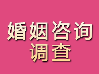 信州婚姻咨询调查